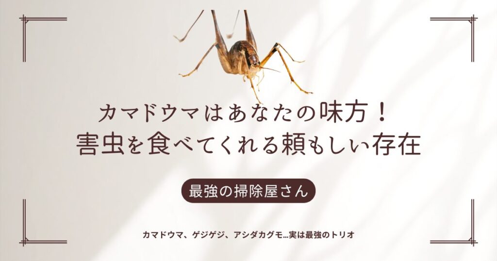 カマドウマは害虫？益虫？縁起が良い神の使いと言われながらなぜ嫌われるのか検証！ゲジゲジとアシダカグモの益虫説も解明